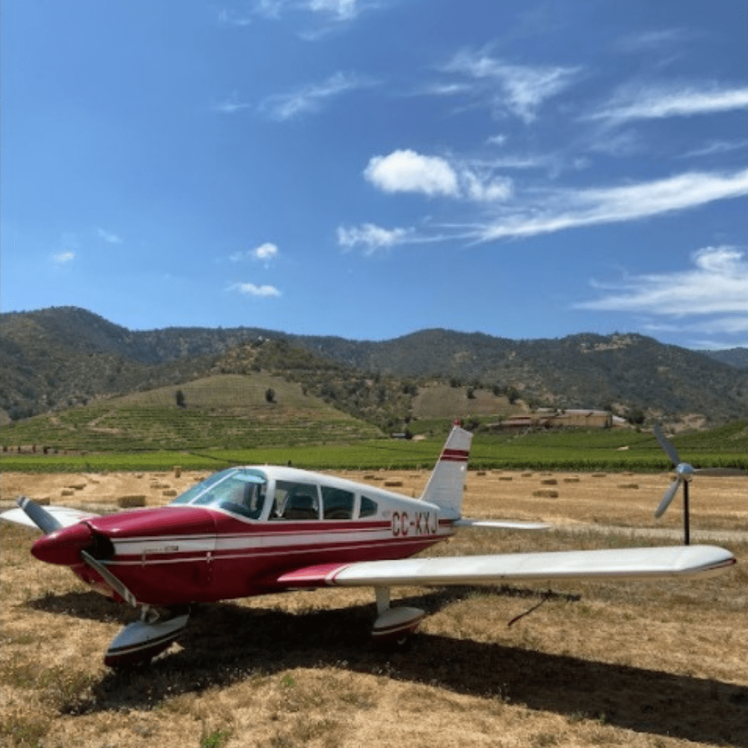 En este momento estás viendo Beneficios para Socios