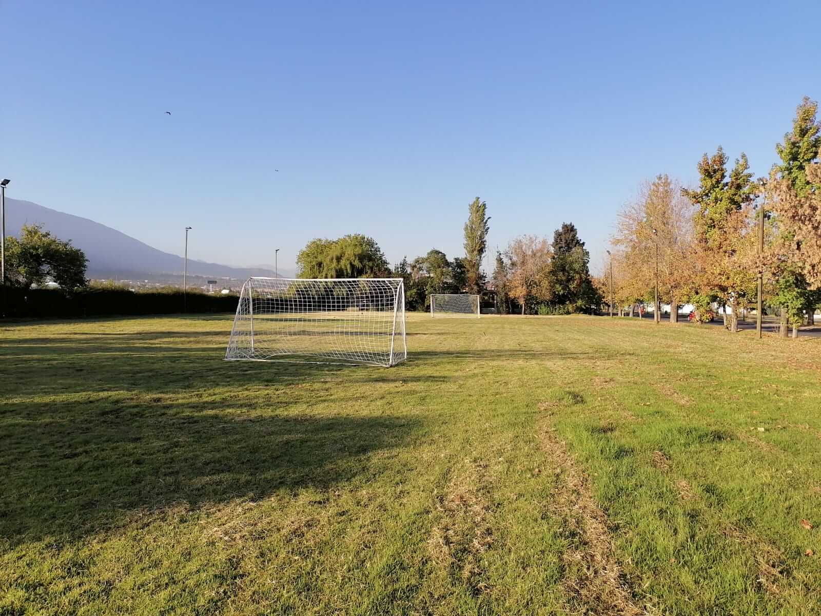 En este momento estás viendo Renovación en el CAS