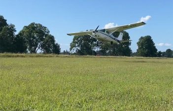 Las damas y caballeros del aire