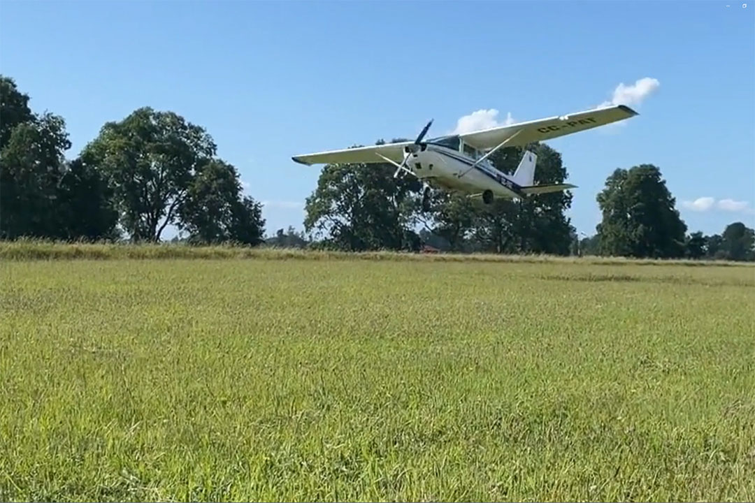 En este momento estás viendo Las damas y caballeros del aire